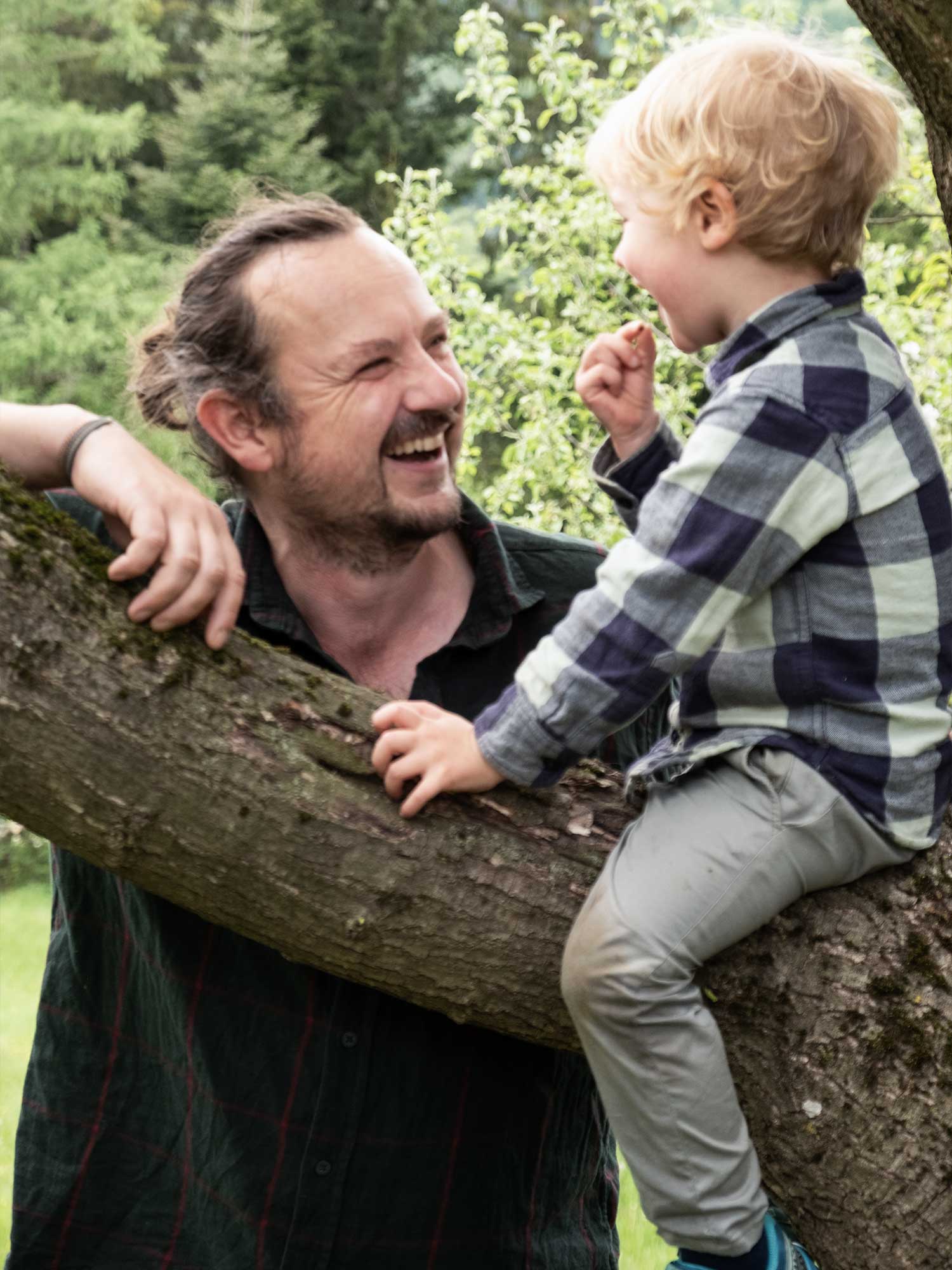 Ein Kind auf einem Baum